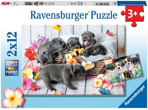 Puzzle Ravensburger Ravensburger 2x12 pièces 056361